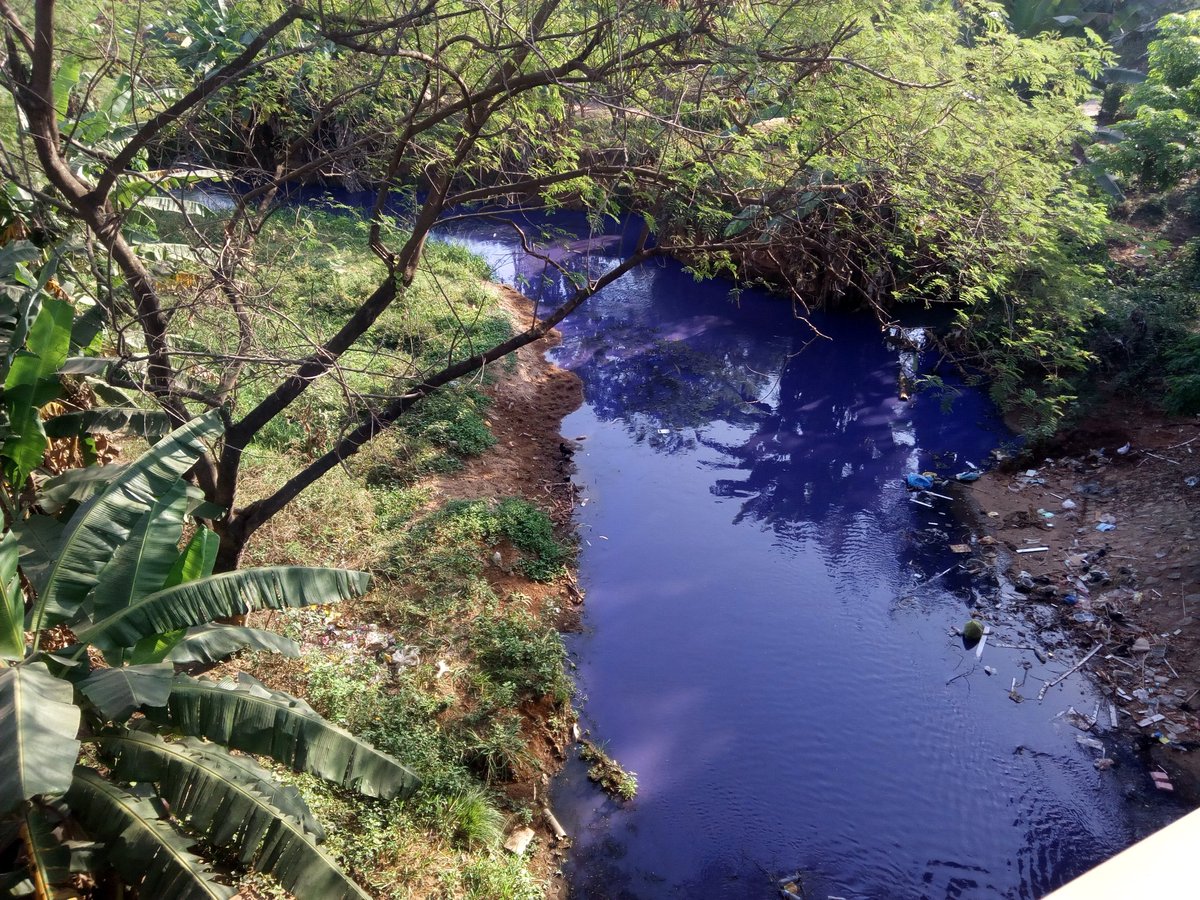 tundemolayan's tweet photo. Taken on 05-12-2019 0835hrs btw Area 8 Recreation Park & Ownit Garden, Garki, Abuja.
This river course ends up as irrigation source for some farmlands downstream.
#Friday4green
#SAWI4climate
Attn: @NigeriaGov @FMEnvng @WaterNGR @FmardNg @NESREANigeria @fcta_callcentre #AEPB https://t.co/TPtNSpy9mh