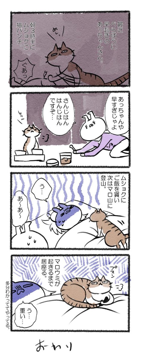 はんじはん...まだまだ寝ぼけてるんだよ!!!
#るーさん #るー3 #日常 #日記 #4コマ漫画  