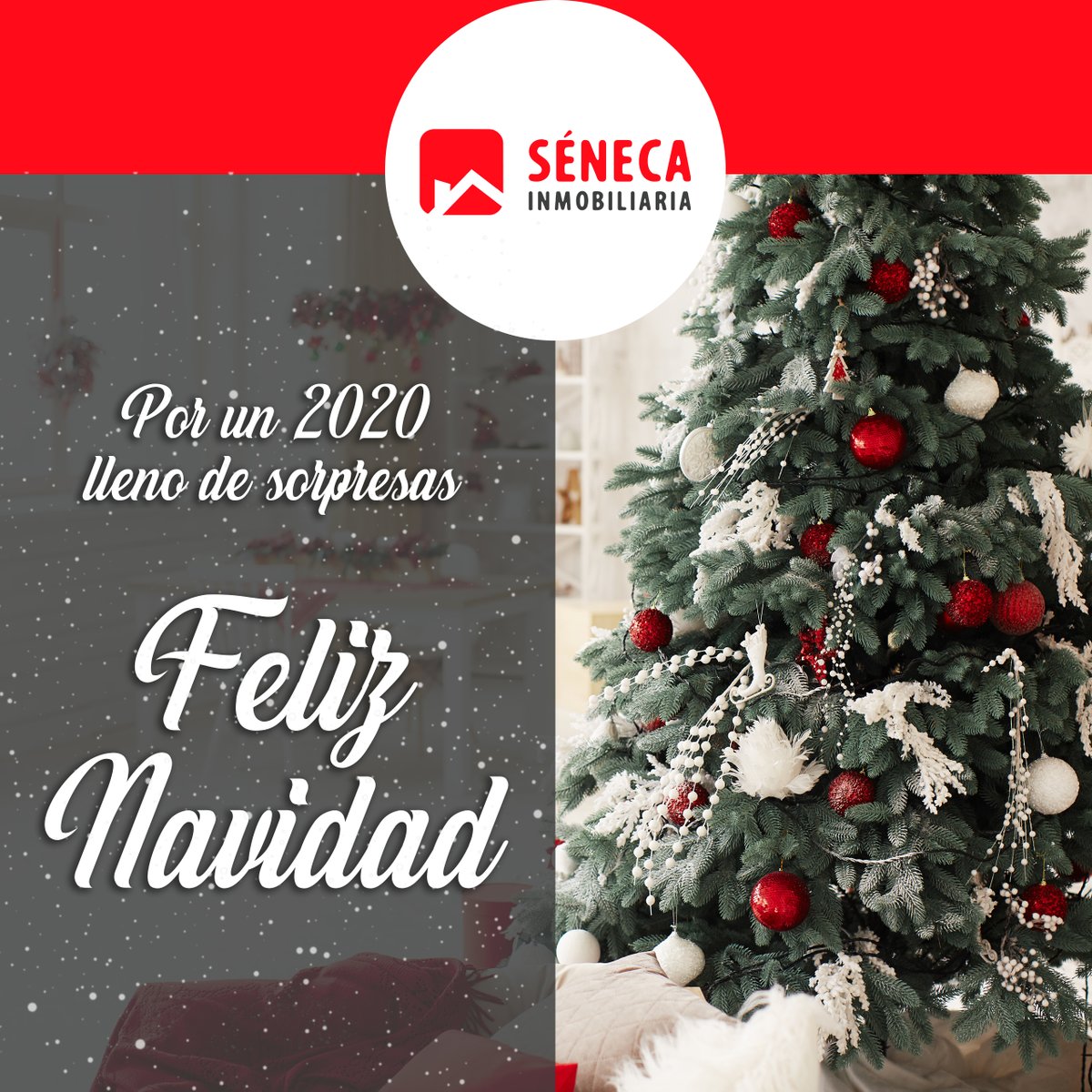 InmoSeneca's tweet image. Llego el adviento, la navidad, las celebraciones y regalos, pero lo más importante es poder estar junto a nuestros familiares y gente querida.
Desde Inmobiliaria Seneca os deseamos ‼️FELICES FIESTAS‼️