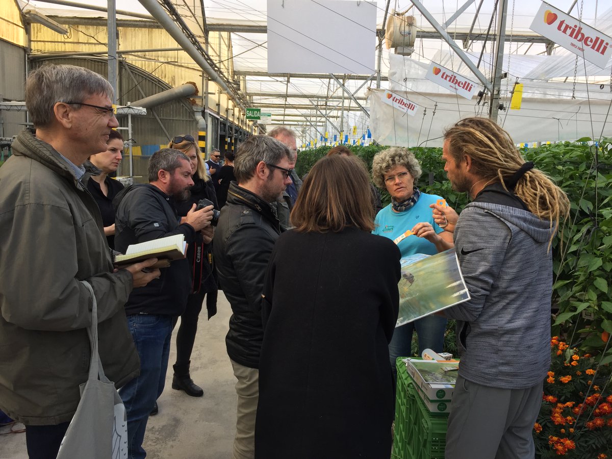 Lolaclisol's tweet photo. #Fam #Trip prensa #Alemania, @Coexphal
Mostrando #biologicalcontrol gracias a @KOPPERT_ES
#Wirtschaftswoche, #DeutscheWelle, Gour-med, #AgraEurope, Agencia #DPA, #ZeitOnline, #Fruchthandel,#HAZ y #DieWelt, #hortalizas #gourmet @tribellisweet . Sus caras lo dicen todo. https://t.co/xn5oiz8tGV
