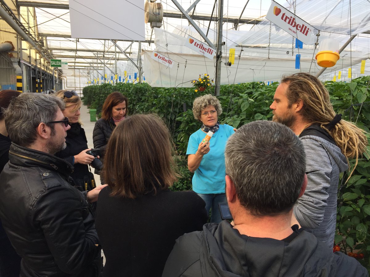 Lolaclisol's tweet photo. #Fam #Trip prensa #Alemania, @Coexphal
Mostrando #biologicalcontrol gracias a @KOPPERT_ES
#Wirtschaftswoche, #DeutscheWelle, Gour-med, #AgraEurope, Agencia #DPA, #ZeitOnline, #Fruchthandel,#HAZ y #DieWelt, #hortalizas #gourmet @tribellisweet . Sus caras lo dicen todo. https://t.co/xn5oiz8tGV