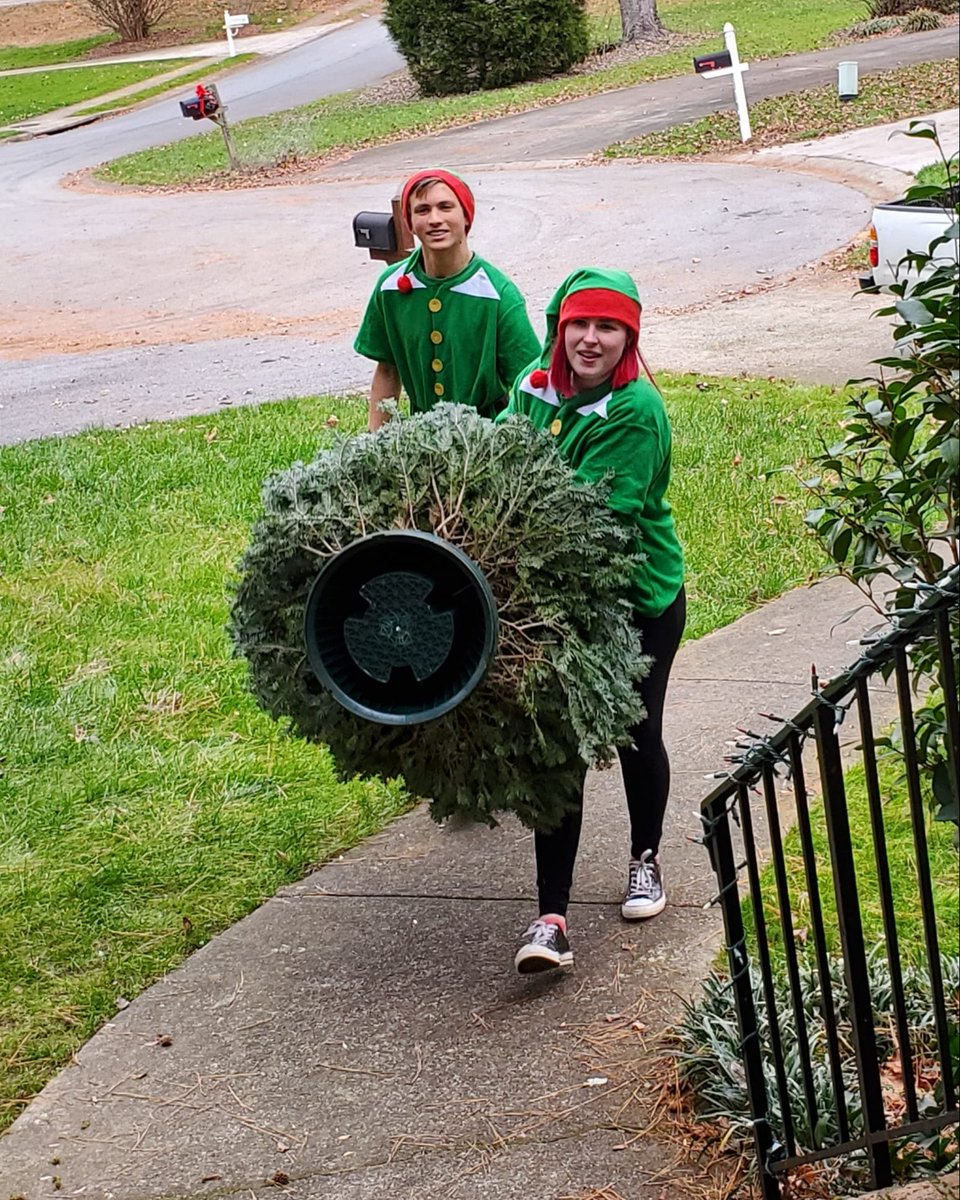 TreeElves tweet media