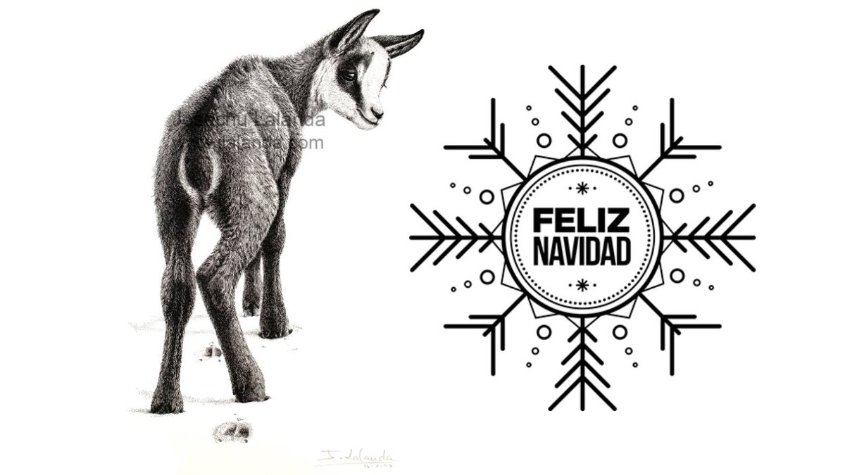 Estudio Artístico J. Lalanda les desea feliz Navidad y un 2020 lleno de éxitos, en el que cumplan todos sus propósitos.

"Chivo de rebeco en la nieve"

Más en jlalanda.com

#feliznavidad #felizañonuevo #merrychristmas #happynewyear #ArtistOnTwitter #josechulalanda