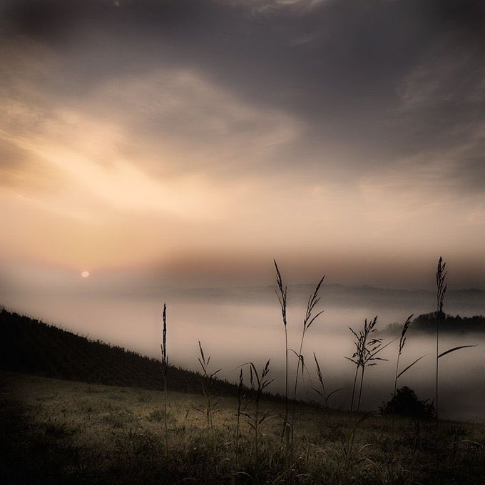 BebuCesco's tweet photo. Ti sei perso nella nebbia, chiudi gli occhi, pensami e lascia che il tuo istinto ti riporti a casa.

✍️Lucrezia Beha
 📷️Gavino Idili https://t.co/SRtkhhed0T