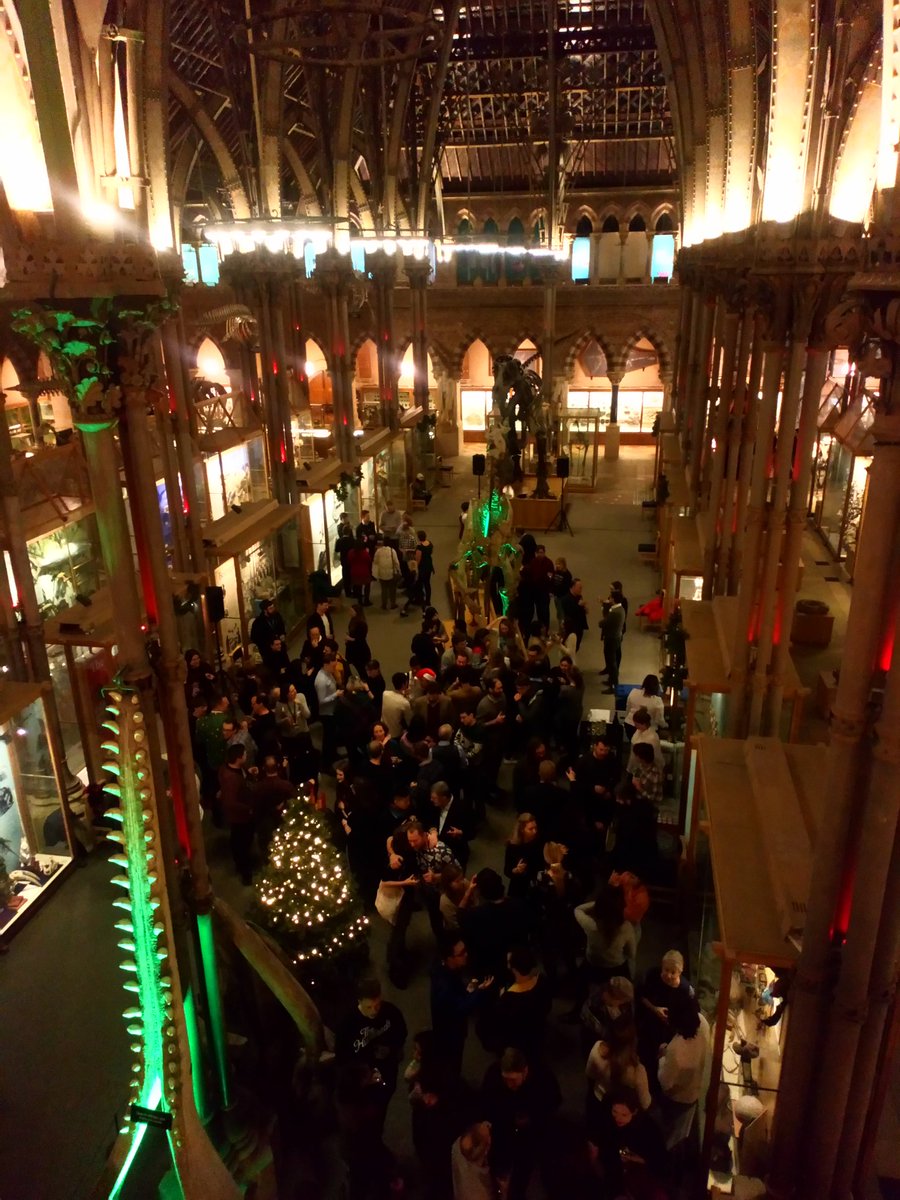 geology_johnson's tweet photo. Gate crashed the #zoology Xmas party the other day. Sadly the zoological peeps were not interested in the beautiful #feldspar #megacrysts in the columns of cornish #Granite @morethanadodo #geology #igneous https://t.co/wHclTkJhYk