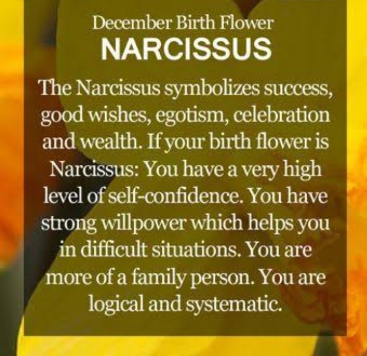 JINDecember 4Birth Flower: Narcissus-Symbolizes success, celebration amf egostism. Those born with birth flower of Narcissus have a very high level of self-confidence.
