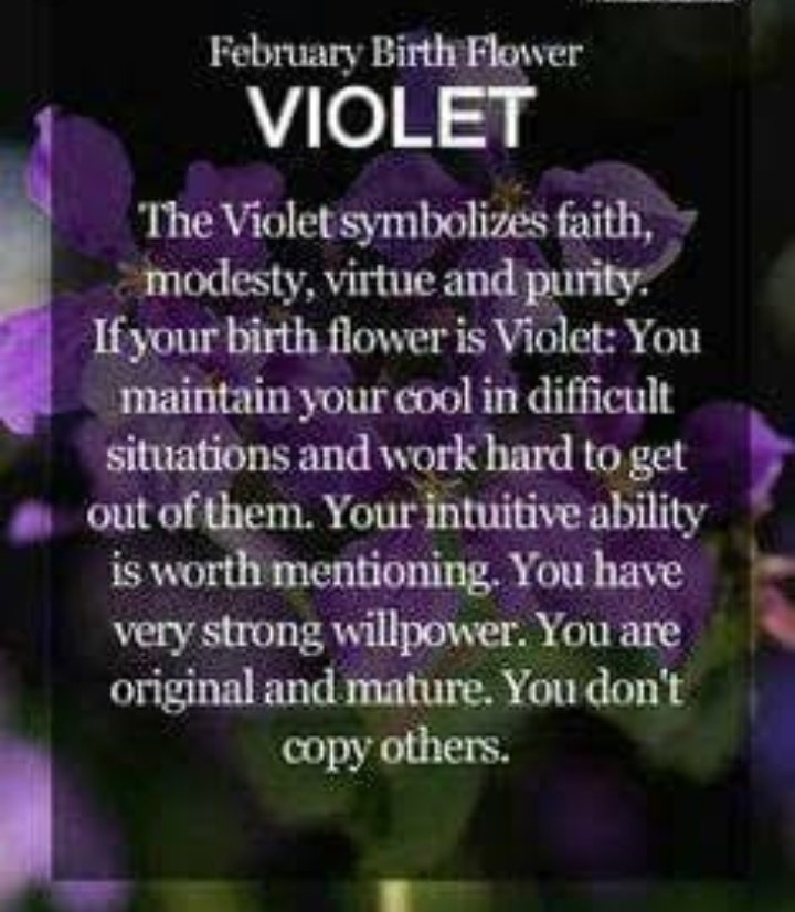 HOBBYFebruary 18Birth Flower: Violet-Violet symbolize virtue, purity and honesty. Those born with the birth flower of Violet has an intuitive ability that is worth mentioning.(We all know how truthful hobbi is, the members even mentioned that he can't lie and is bad at it)