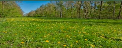 Invest Milton Keynes (@investmk) on Twitter photo #MKFactFriday: Did you know that Hazeley Wood was planted by #MiltonKeynes Development Corporation in 1991, The wood will not reach maturity until 2141
<a href="/TheParksTrust/">The Parks Trust</a> #MKFactFriday: Did you know that Hazeley Wood was planted by #MiltonKeynes Development Corporation in 1991, The wood will not reach maturity until 2141
<a href="/TheParksTrust/">The Parks Trust</a>