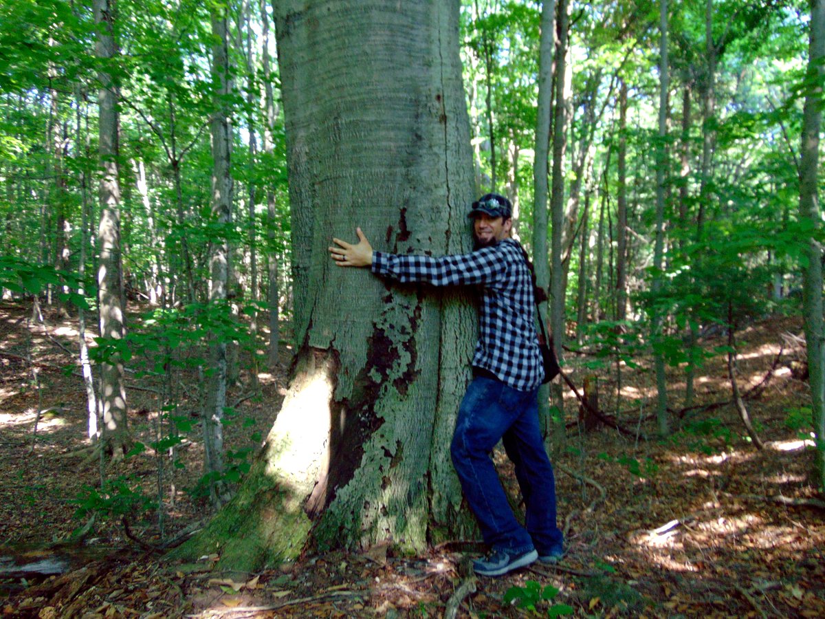 Foresters are the original tree huggers! Here’s Matthew Wedge, a student at Paul Smith's College, hugging an American beech tree on his family’s property in NY. He’s been studying these trees to better understand individual tree health and disease resistance. #SAFMemberSpotlight