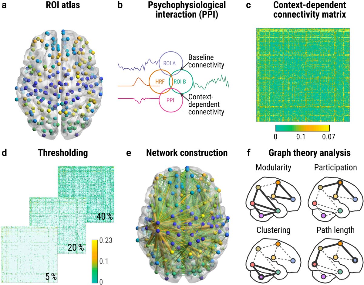 Figure from the manuscript visualizing the graph theory analysis of the functional connectivity for somatosensory stimulation