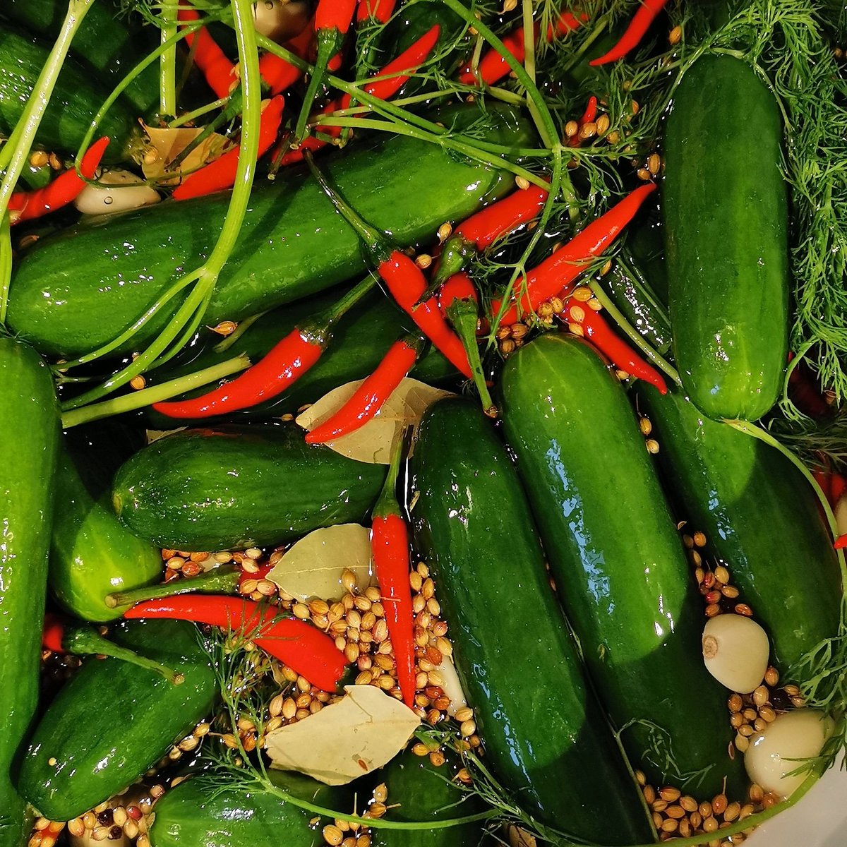 The before picture...
See you in January 19th 
facebook.com/events/3328320…
#pickles #pastrami #popup 
#menschdeli #YVR