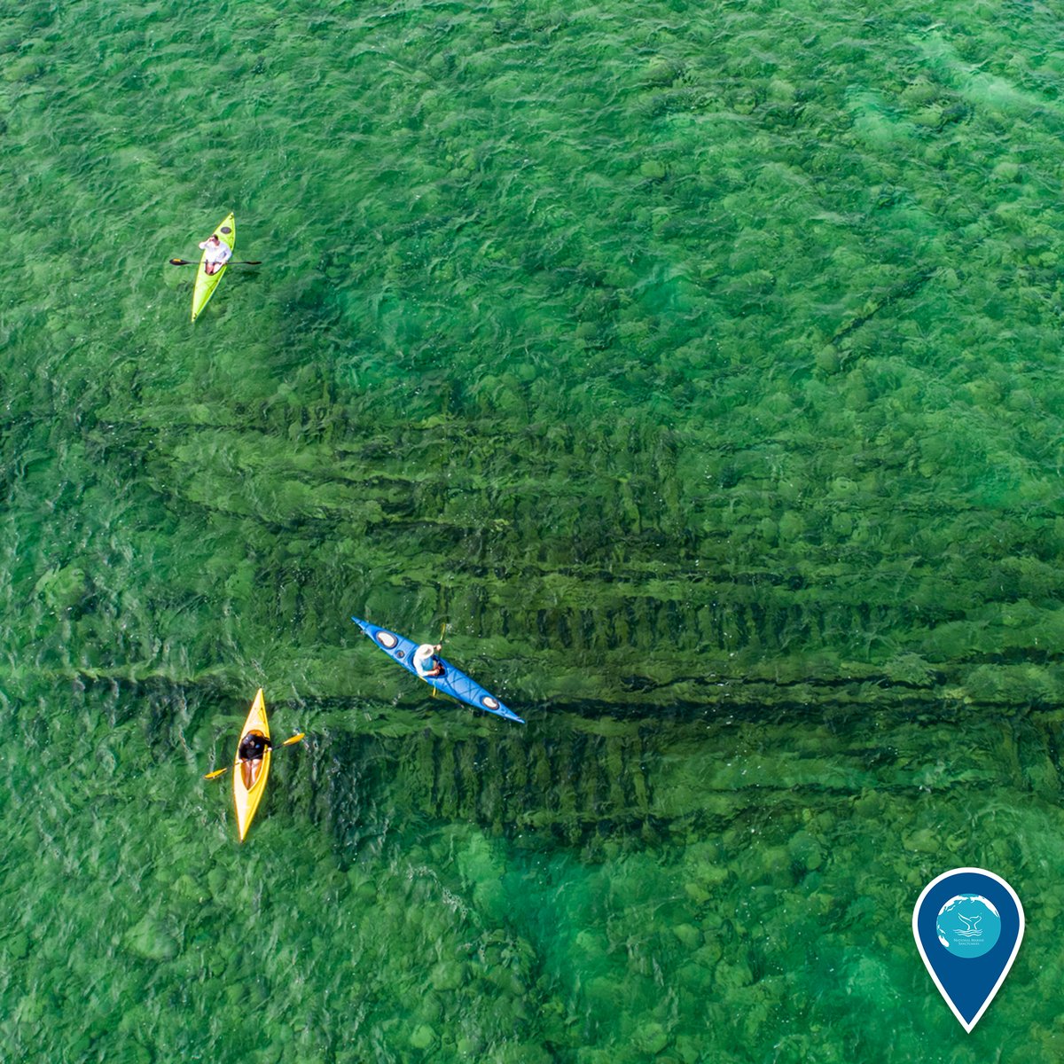 three kayakers paddle over a shipwreck