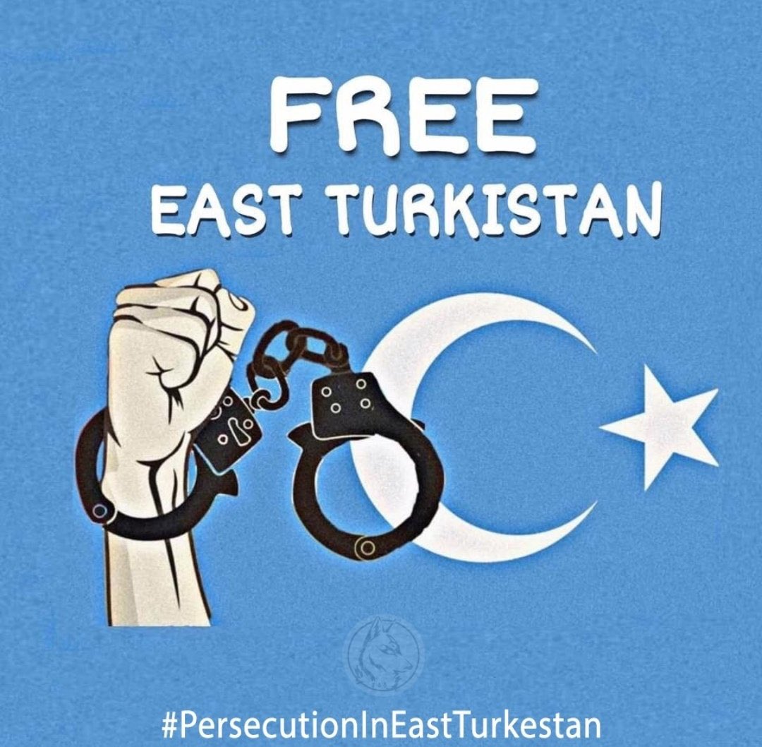 Ne kaldı ki sende bu pervasız zulümden
Yeniden mavilere boyanır mı bu bayrak
Bir esaret zinciri sana yazılan her destan
Seninle sen olayım Doğu Türkistan

#persecutionıneastturkestan