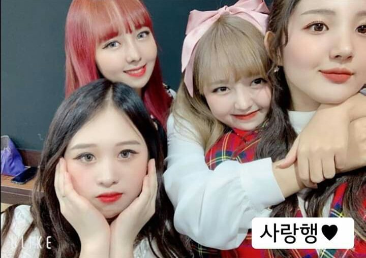 MinjungBrasil's tweet photo. [📷] 20.12.19 - Stories da JinJu com a MinJung

#밀키웨이 #MilkyWay #민정 #MinJung #소희 #SoHui #진주 #JinJu #금주 #GeumJu https://t.co/6dfkRcKKzY