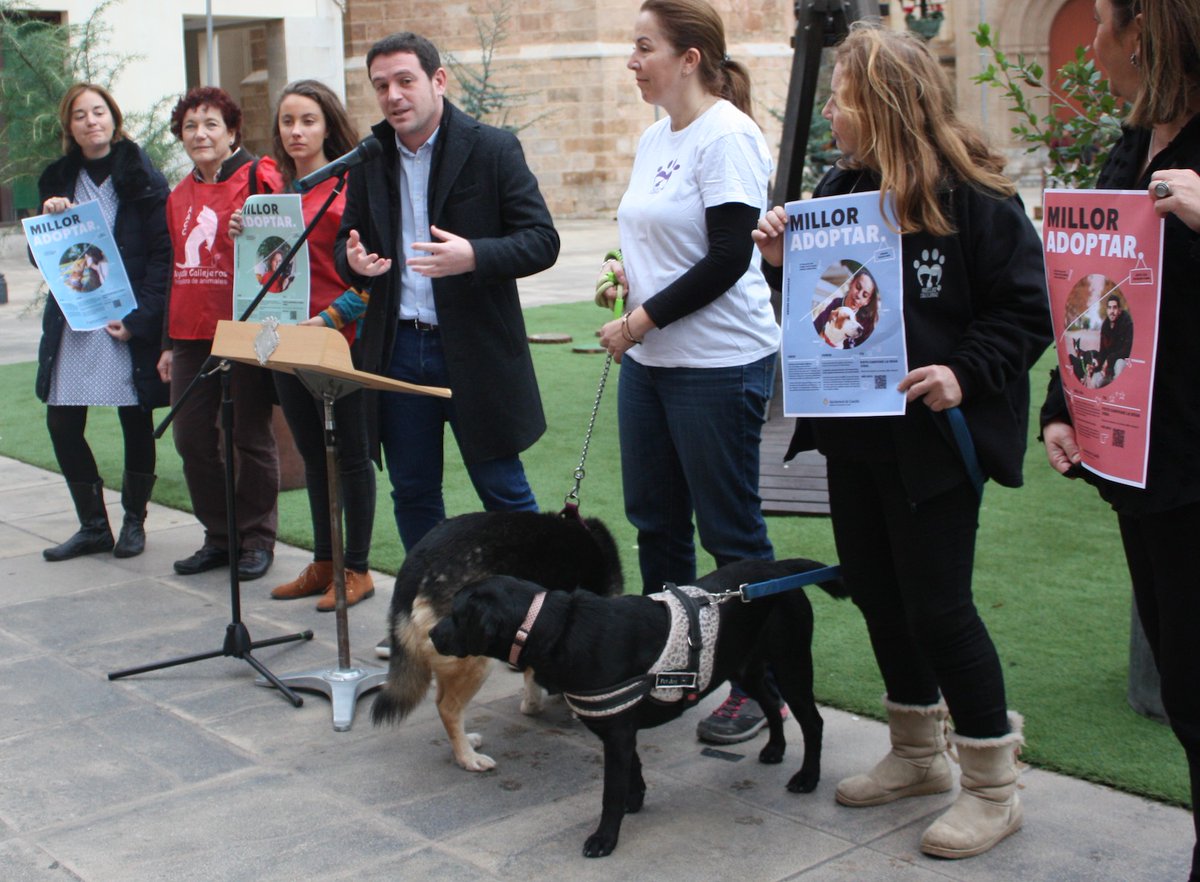 Sempre, #MillorAdoptar!

Molts animalets busquen una família. Si els dones una llar, elles i ells et donaran molt més.

Contacta amb les protectores de #Castelló i regala'ls una nova oportunitat: bit.ly/protectorescas…