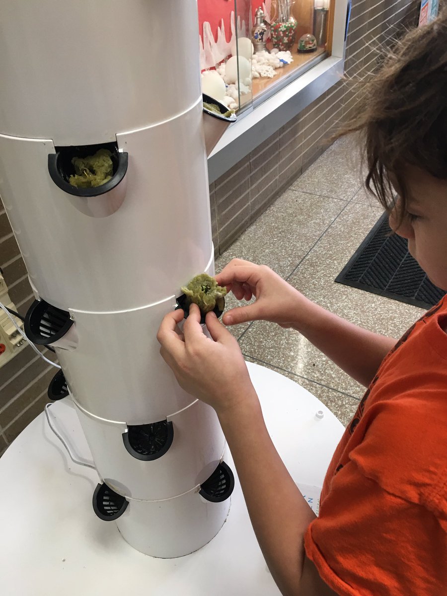 KHarmon17's tweet photo. Gr 3 students plant 4 types of lettuce. We can’t wait to see how much our 🥬 grows over holiday break! #hydroponic #growtower #saladparty @BrownWarrenES https://t.co/B68fWgPKRO