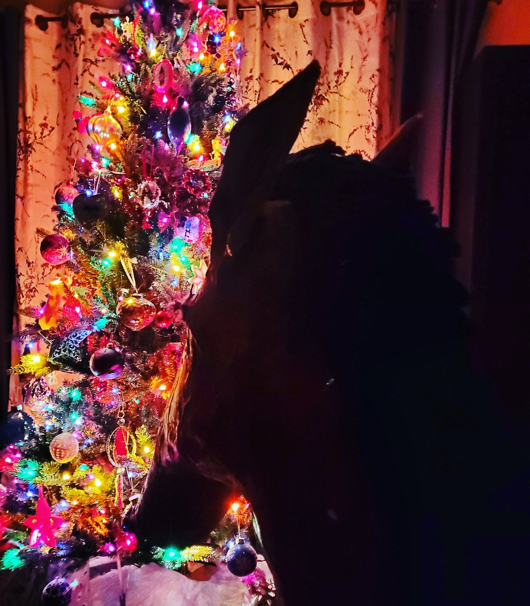 Everyday Bojack tweet media