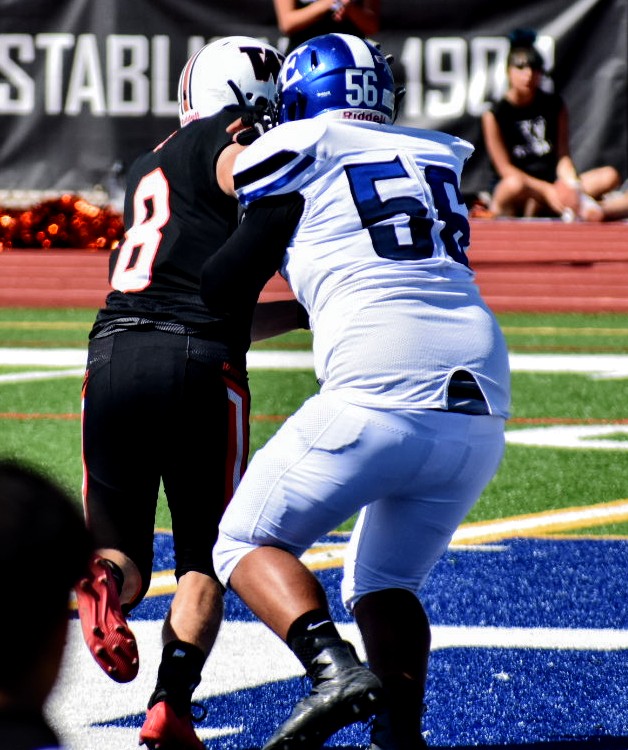 Mike Campbell tweet media