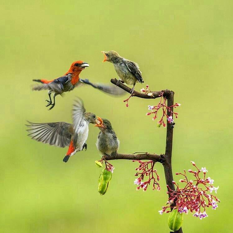 الدنيآ قوسآن ( )....آلأول بدايتك...وآلثآني نهايتك...فضع بينهمآ شيئاً نافعاً يتذكرك الناس به!
 #حكمتك_بهذه_الحياه
