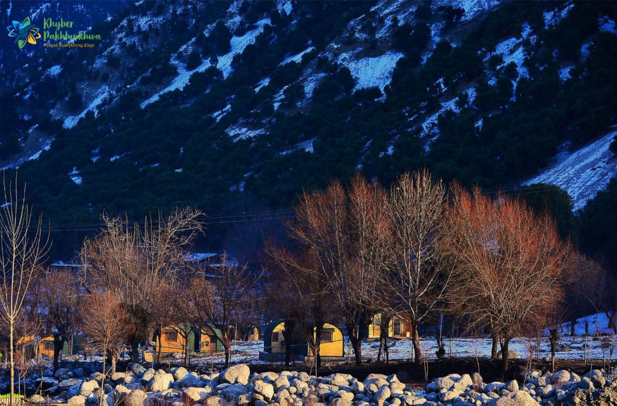 kptourism's tweet photo. Several camping pods were installed at the Bamburet scenic spot in Kalash Valley to facilitate tourists during the upcoming tourism season in the province.
The provincial government has already installed the 2-4 beds camping pods in several tourist attractions.
#kptourism https://t.co/AmY9X0WpPP
