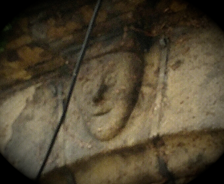 𝕳𝖆𝖚𝖓𝖙𝖊𝖉 𝕳𝖆𝖜𝖔𝖗𝖙𝖍 👻 tweet media