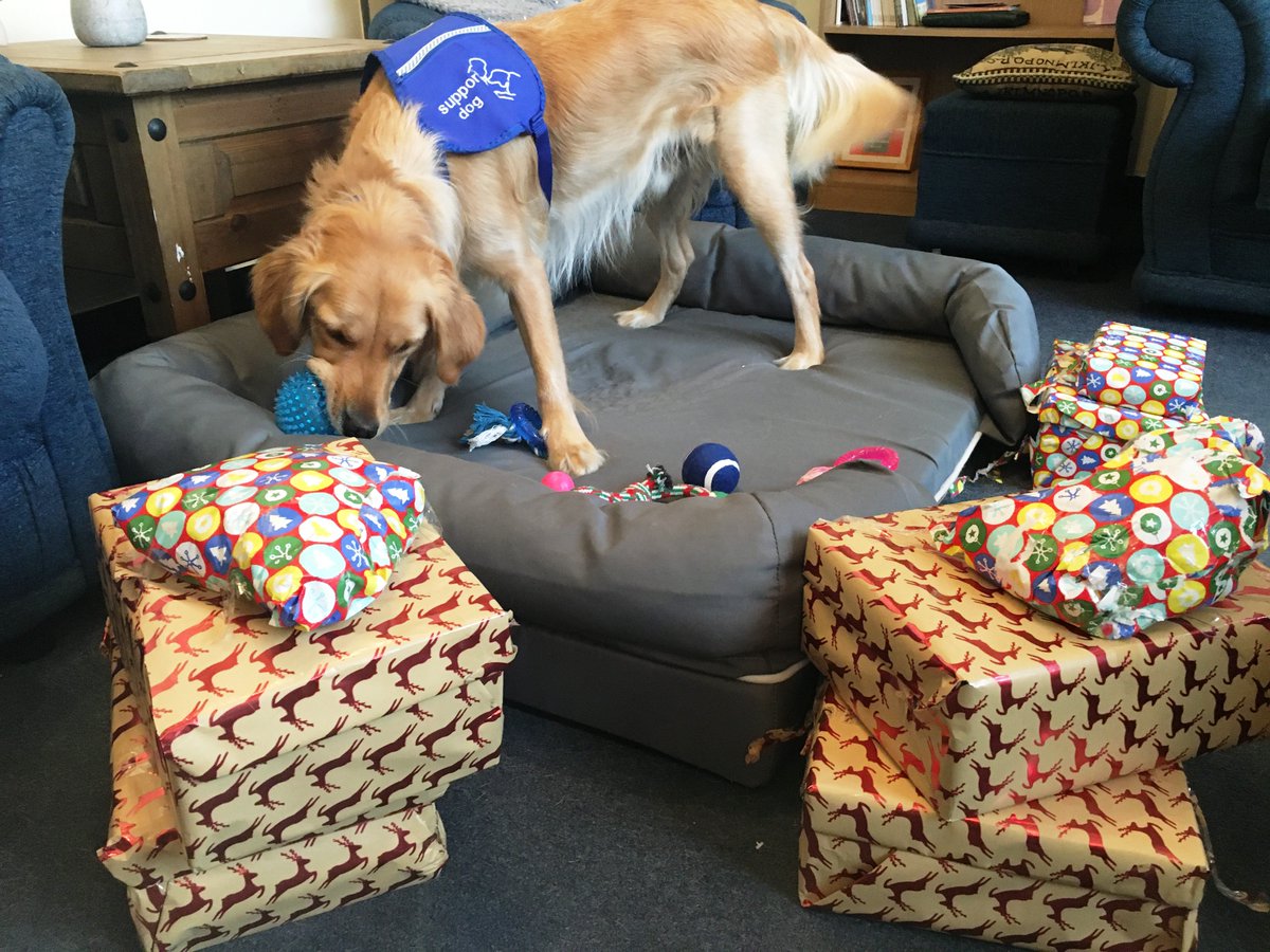 Thanks to the amazing <a href="/shutrampoline/">Hallam Trampolining</a> who have not only raised funds for us but also put together some amazing presents for our dogs! Humphrey had a great time opening them!  #christmas #thankyou #earlypresents