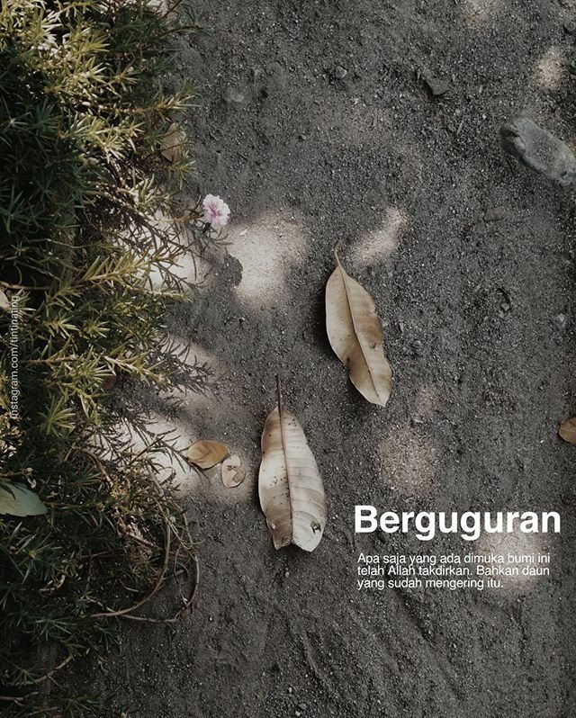 tintinating's tweet image. Semua punya massa. ⠀⠀⠀⠀⠀⠀⠀⠀⠀

____⠀⠀⠀⠀⠀⠀⠀⠀⠀
#playwithshadow #garagarainstagram #creativemultiplepost #madewithstories #humaninterest #whp_id #vscofilter #vscoidn #untoldstories #instajurnal #crea… ift.tt/35GHdjP