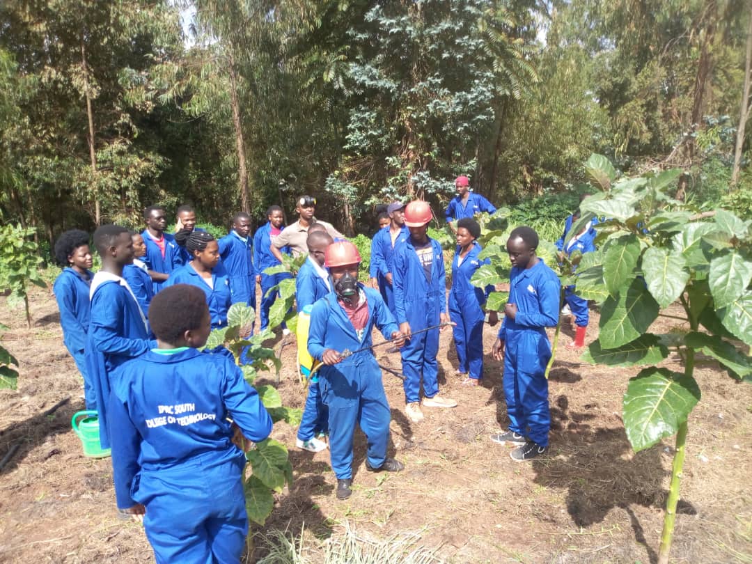 tuyizere_gaston's tweet photo. @RwandaAgriBoard @rubona @PrimatureRwanda @RwandaAgri @RwandaInfra @RwandaFinance @RwandaSouth @IPRC_Huye @Rwanda_Edu @RwandaPolytec @HuyeDistrict @jemsaka07 @twige04 Thrilled about your coming.we #CropStudents @IPRC_Huye,are ready to partner in building the #Rwandawewant.thank you #RwandaGov,@Rwanda_Edu, @RwandaPolytec,@RwandaSouth,@HuyeDistrict,@IPRC_Huye,to make us #WhoWeAreToday,and especially @jemsaka07 for the #BusinessComCourse,@twige04 https://t.co/l5sD4QffTK