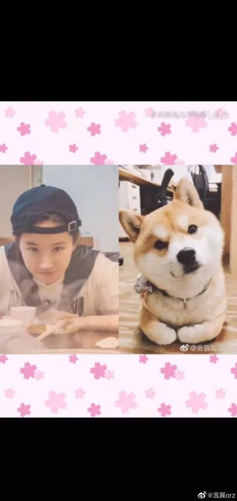 molly8253's tweet photo. #liuyifei #Littlecute Smiling angel☺️☺️☺️ https://t.co/n5cwsslRJs