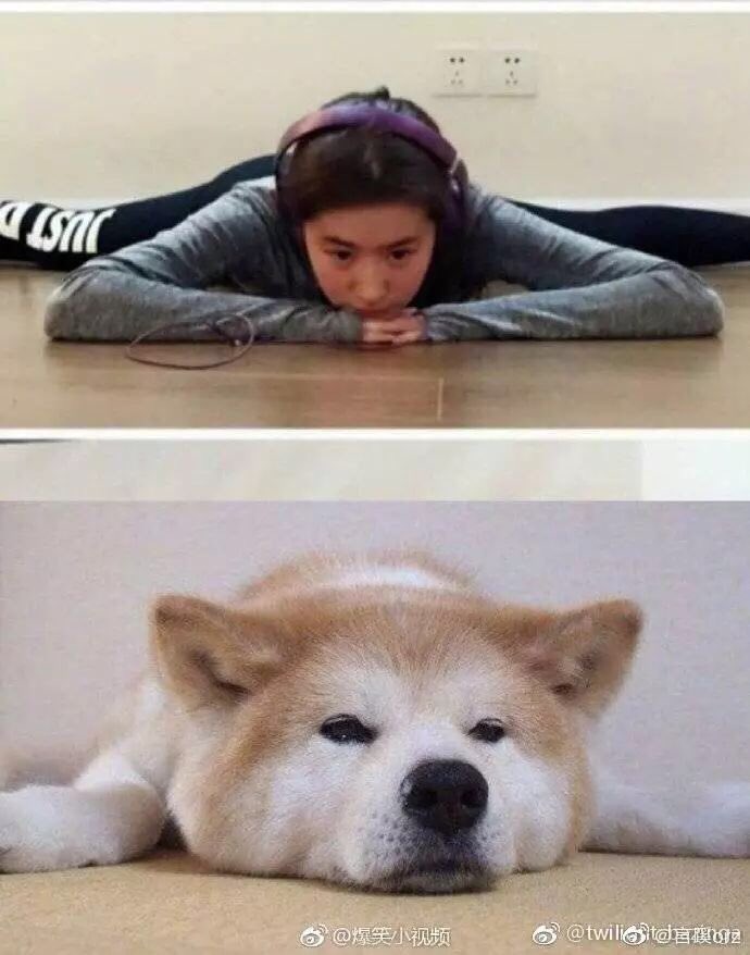 molly8253's tweet photo. #liuyifei #Littlecute Smiling angel☺️☺️☺️ https://t.co/n5cwsslRJs