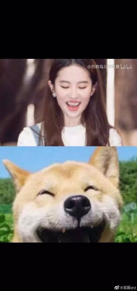 molly8253's tweet photo. #liuyifei #Littlecute Smiling angel☺️☺️☺️ https://t.co/n5cwsslRJs
