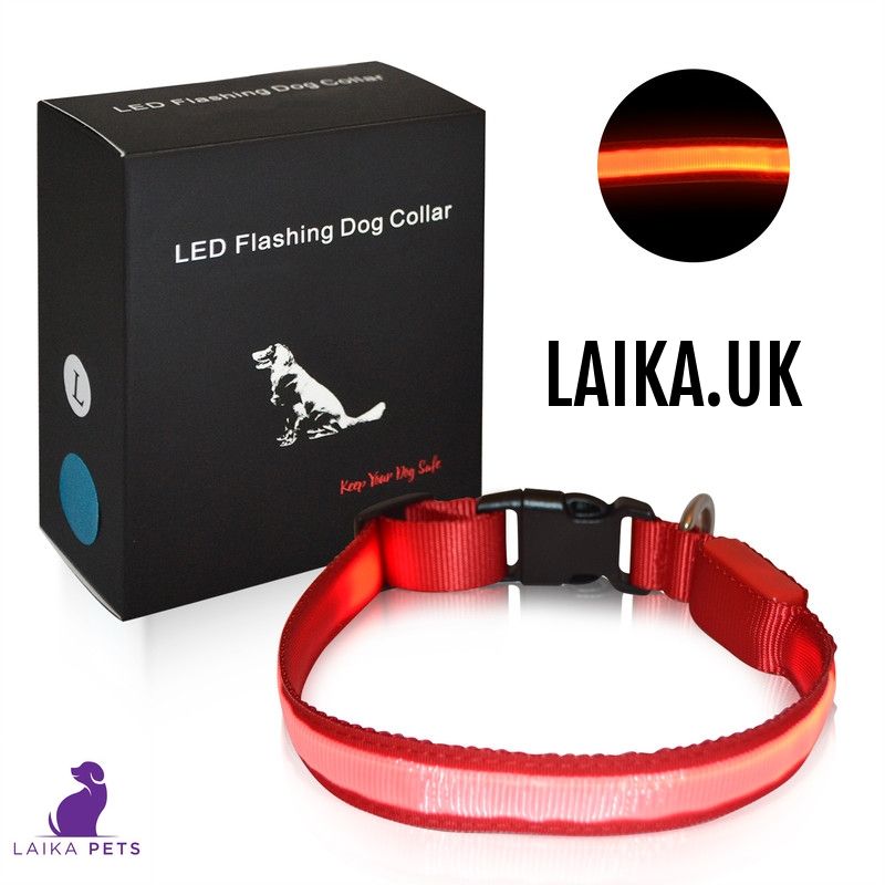 PetsLaika's tweet photo. Order Now For Delivery For Christmas ππ
πΆ
πΆ
πΆ
#ukdogcollars
#leddogcollars
#dogcollar
#dogcollars
#dogcollarsuk
#doggiftsuk
#dogcollarsofinstagram https://t.co/6uWKiy811D