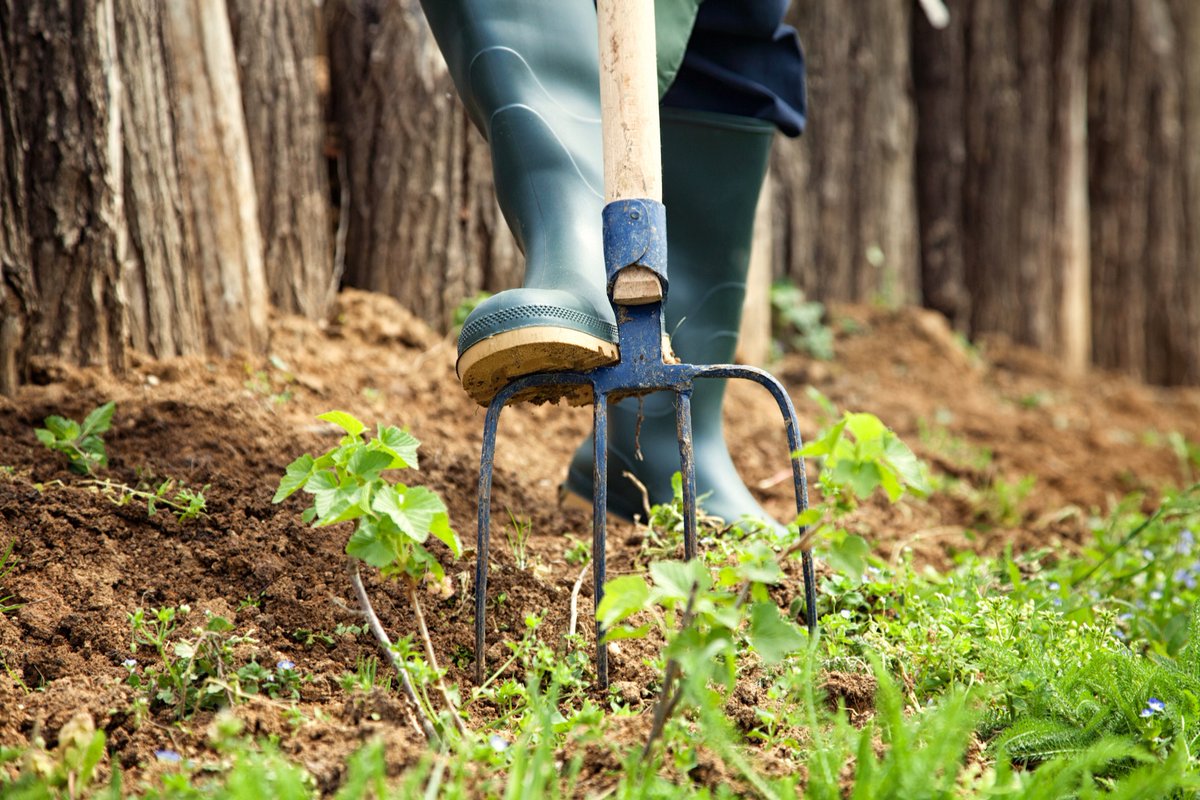 GreenControl_'s tweet photo. Bon week end ! L'occasion de faire un peu de jardinage , n'hésitez pas à nous contacter pour tous conseils et questions sur l'entretien du jardin ! A très vite sur https://t.co/3lwZ6RylmG !
#biocontrol #monjardin #bio #greenhouse #sanspesticides #greencontrol #potager #jardin https://t.co/K9jlIERECA