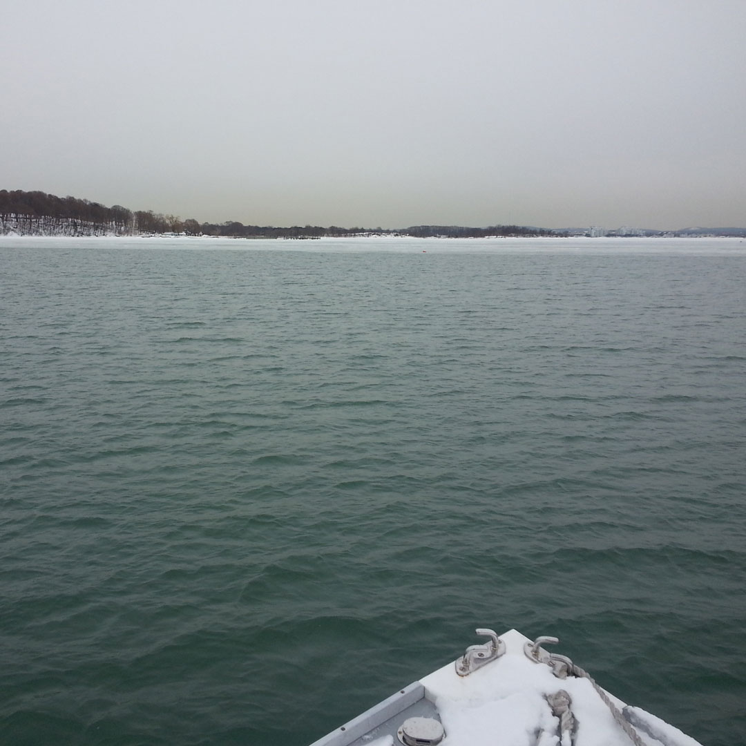 Thompson Island tweet media