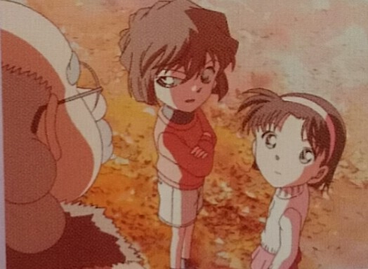 菊乃 名探偵コナン 灰原哀シークレットアーカイブスから411 412話 神社鳥居ビックリ暗号 博士の暗号解読 421 422話 イチョウ色の初恋 博士の初恋物語 オープニングテーマが 倉木麻衣 さんの Growing Of My Heart なんですよ これから楽しみ