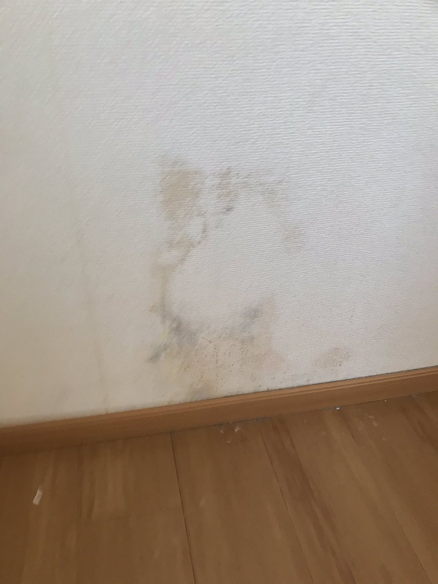 にしこー 紅楼夢k19 En Twitter 放置した風呂カビ 沈着した黒い水アカ ガスコンロ周り焦げ付き 大 ガスコンロ周り油汚れ レンジフードの頑固な油汚れ 落ちない 各種家具による床の凹み 過失ではない損傷 雨漏りによる壁の変色 画像 雨漏りによる