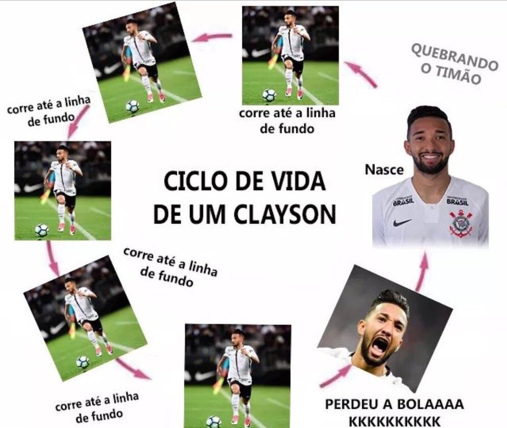 DomRicardo3's tweet photo. Ciclo de vida de um Clayson #ForaElenkoSports #ForaAndres https://t.co/tTd6808ZRk