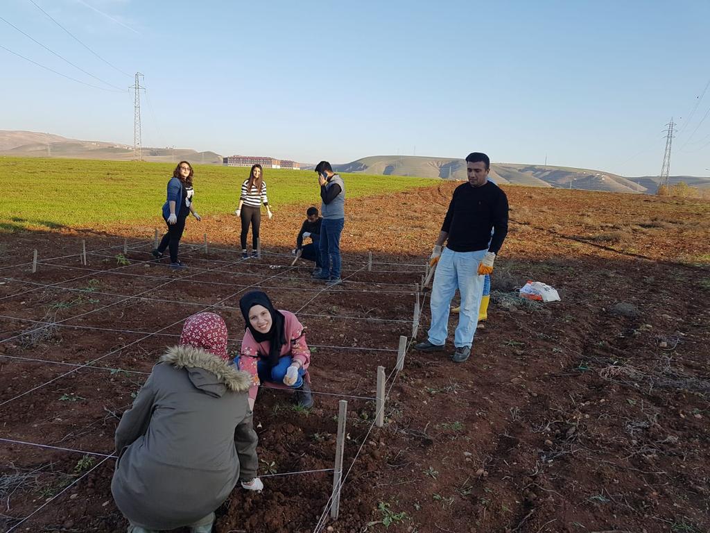 YASAT56's tweet photo. YAŞAT ekibi iş başında. Yaşam ve tarım topluluğu olarak bakteriye bulasilmis süs bitkilerin dikimini yaptık. Emeklerinden dolayı Doç.Dr. Arzu ÇIĞ ve Doç. Dr. Fatih ÇIĞ hocamıza teşekkür ederiz. https://t.co/XTfefWsrd1