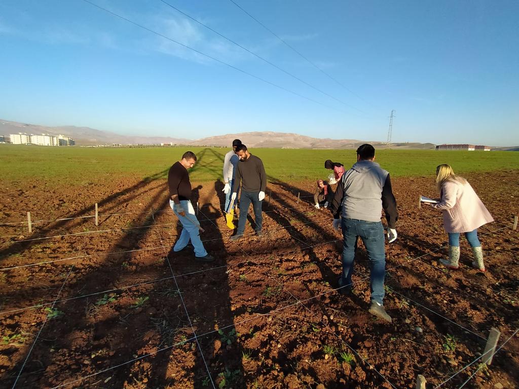 YASAT56's tweet photo. YAŞAT ekibi iş başında. Yaşam ve tarım topluluğu olarak bakteriye bulasilmis süs bitkilerin dikimini yaptık. Emeklerinden dolayı Doç.Dr. Arzu ÇIĞ ve Doç. Dr. Fatih ÇIĞ hocamıza teşekkür ederiz. https://t.co/XTfefWsrd1