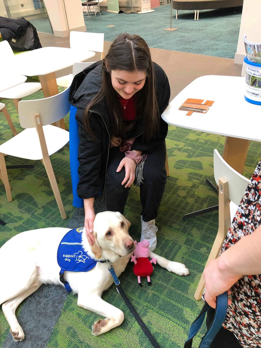 Had a great morning meeting the dogs from <a href="/supportdogsuk/">Support Dogs</a> and passing on our Christmas presents 🎁🐶 thank you to everyone on the team who donated items for the dogs to enjoy, we hope they enjoy them! @TeamHallam #christmas #charity