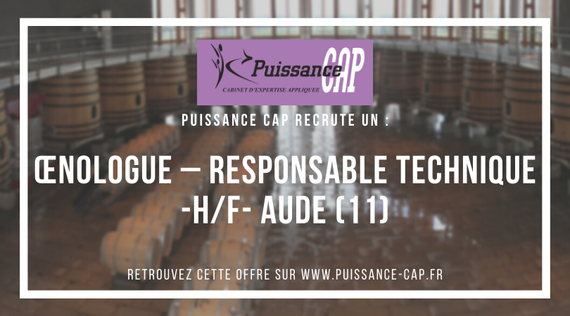 PuissanceCap_RH's tweet photo. Nous recrutons un Œnologue – Responsable technique (H/F) en CDI basé à proximité de Carcassonne (11). #Emploi #oenologue #Vins 
Plus d'infos : https://t.co/VXepxuNM9C https://t.co/CcwtKXSRnk