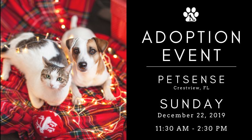 WCASFL's tweet photo. Come join us at @petsense in Crestview on Sunday for a little #AdoptANDShop fun.

Give a shelter pet a home for the #HOWLidays and find everything you need for your new FURever friend inside Petsense! See you then! https://t.co/rXimYRZf2A