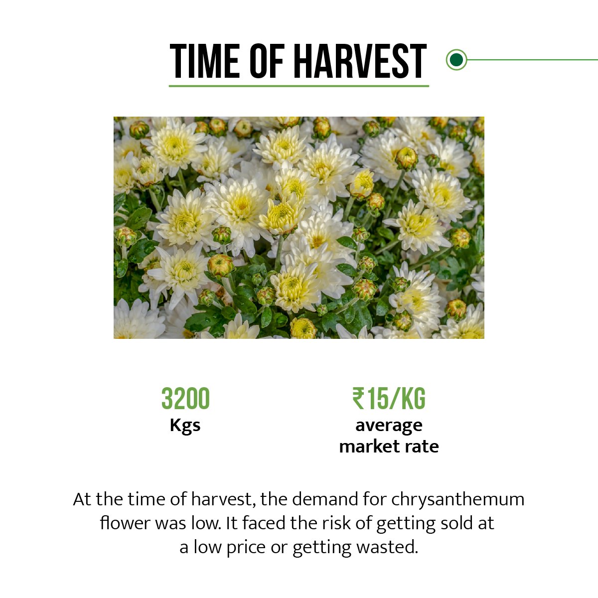 EcozenSolutions's tweet photo. #EcozenCaseStudy
Know how Mr. Somnath Jagdale’s #Chrysanthemum produce was kept fresh till Ganpati & the Navratri festive season in #India when demand is high, with the #Ecofrost #SolarColdRoom.
#Farmer #Empowerment #Pune #Innovation https://t.co/dm9fH35CUo
