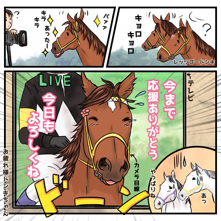 【レッツゴードンキ?】
ドンキちゃんといえばカメラアピールが上手ですよね☺アップでドンキちゃんです(^ー^)
今までありがとう。
最後まで応援?ファイトッ

#レッツゴードンキ
#阪神カップ
#馬のマンガ 