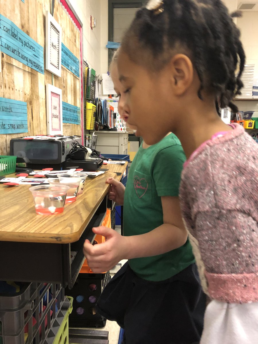 K Ss discovering what will happen to candy canes when put in different liquids! #kinderscientists #SELK20 #SEL20 #candycanescience <a href="/SeldensLanding/">seldens.landing.es</a>