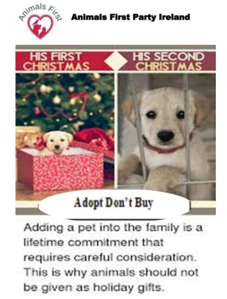 Animals1stParty's tweet photo. #AdoptDoNotBuy a Puppy, for Christmas, and beyond.
Please join us handing out flyers to #BanPuppyFarming
In front of Penneys O'Connel St, Limerick
Saturday December 21st 2019 from 3-5 pm
Sunday December 22nd 2019 from 3-5 pm. Cu
@limerickpost @Live95fmNews @LimerickToday https://t.co/3xynqNrcgM