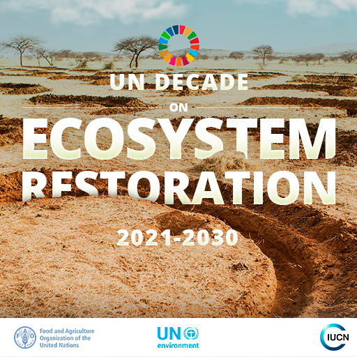 restoreforward's tweet photo. The UN #RestorationDecade, starting in 2021, shows that the international community is also ready to act + invest in restoring forests and other land. https://t.co/qs2hM0fVNP @GlobalLF @OlumideIDOWU https://t.co/6W6zoFXTHv