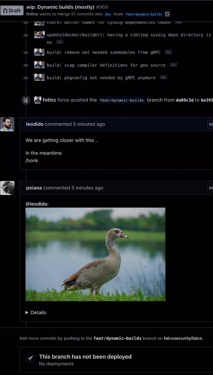 Honk for Falco dynamic builds!