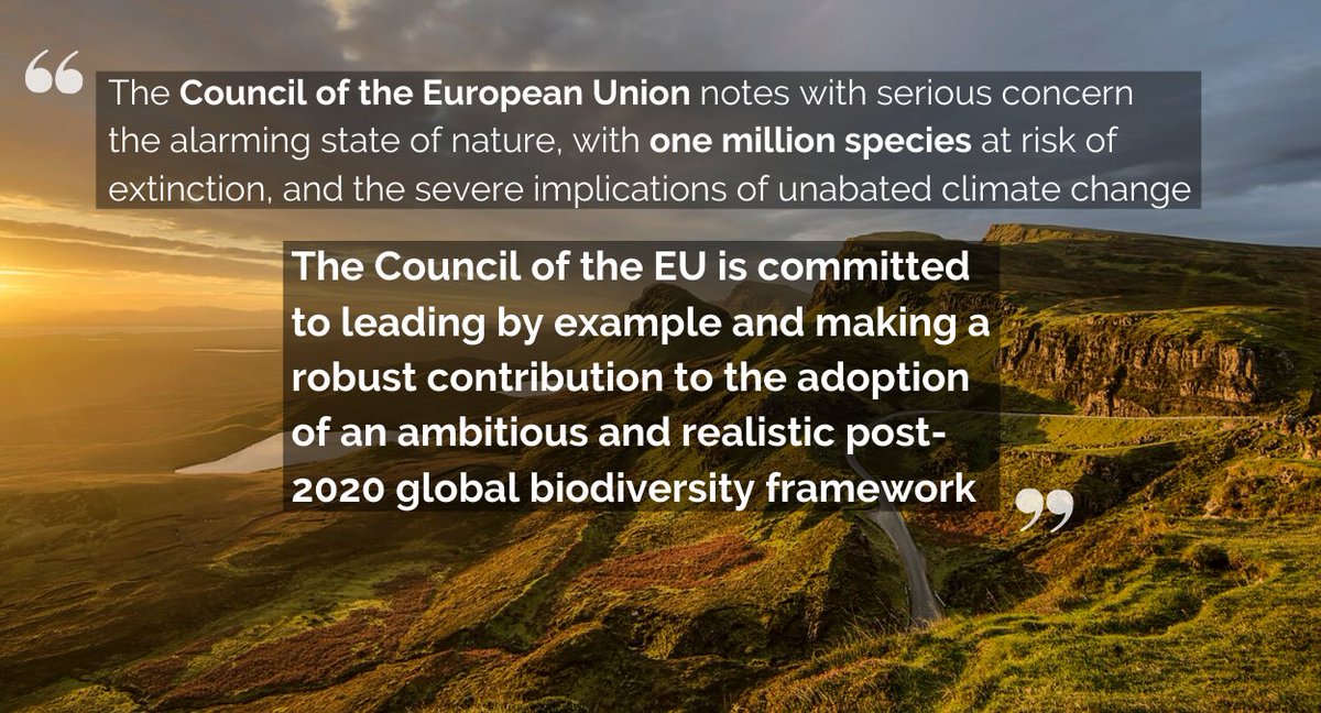 ipbes (@ipbes) on Twitter photo With 1 million species facing #extinction and unprecedented environmental emergencies, the need for bold leadership for the #post2020 biodiversity framework is self-evident.
The <a href="/EUCouncil/">EU Council</a> just committed to lead on #Biodiversity & #EcosystemRestoration
☀️consilium.europa.eu/en/press/press… With 1 million species facing #extinction and unprecedented environmental emergencies, the need for bold leadership for the #post2020 biodiversity framework is self-evident.
The <a href="/EUCouncil/">EU Council</a> just committed to lead on #Biodiversity & #EcosystemRestoration
☀️consilium.europa.eu/en/press/press…