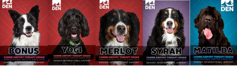 CATS Team Bonus, Yogi, Merlot, Syrah and Matilda